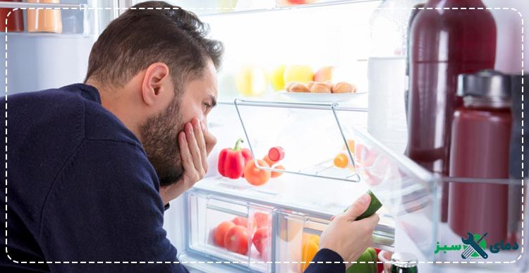  نکات ساده برای خلاص شدن از شر بوی یخچال